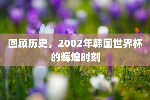 回顾历史，2002年韩国世界杯的辉煌时刻