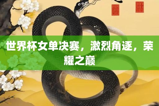 世界杯女单决赛，激烈角逐，荣耀之巅