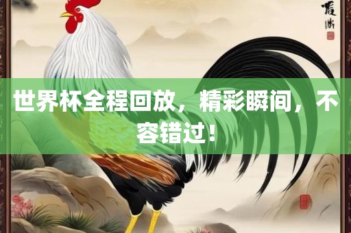 世界杯全程回放，精彩瞬间，不容错过！