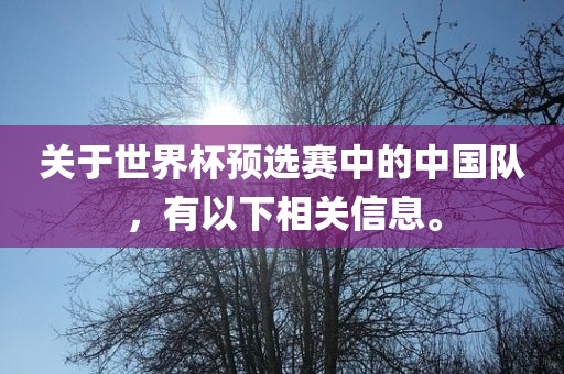 关于世界杯预选赛中的中国队，有以下相关信息。洛阳市法福文化传播有限公司