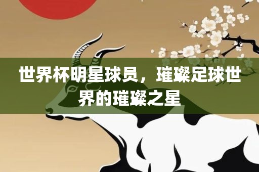 世界杯明星球员，璀璨足球世界的璀璨之星