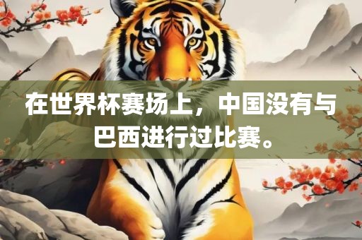 在世界杯赛场上，中国没有与巴西进行过比赛。洛阳市法福文化传播有限公司