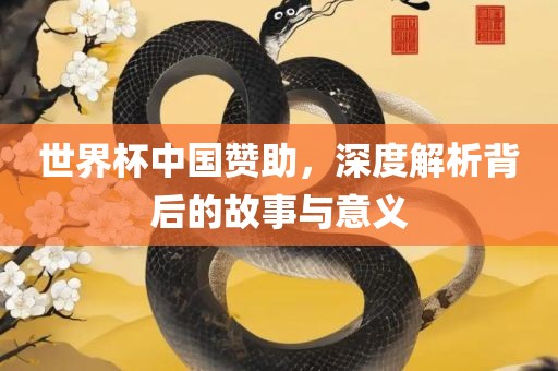 世界杯中国赞助，深度解析背后的故事与意义洛阳市法福文化传播有限公司