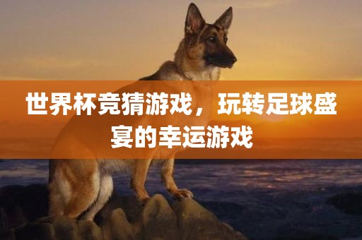 世界杯竞猜游戏，玩转足洛阳市法福文化传播有限公司球盛宴的幸运游戏