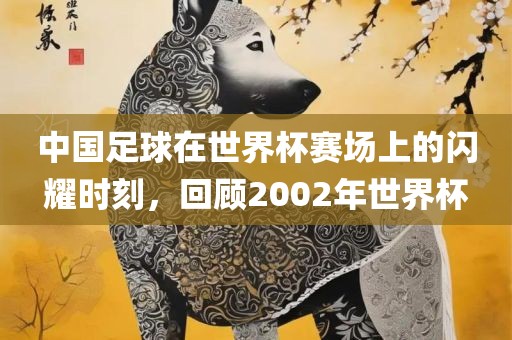 中国足球在世界杯赛场上的闪耀时刻，回顾2002年世界杯洛阳市法福文化传播有限公司