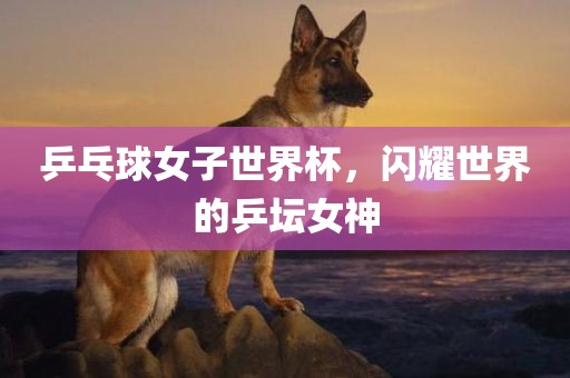 乒乓球女子世界杯，闪耀世界的乒坛女神