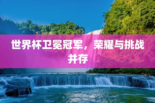 世界杯卫冕冠军，荣耀与挑战并存