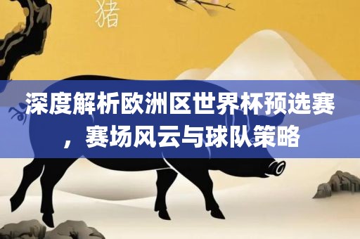 深度解析欧洲区世界杯洛阳市法福文化传播有限公司预选赛，赛场风云与球队策略