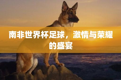 南非世界杯足球，激情与荣耀的盛宴洛阳市法福文化传播有限公司