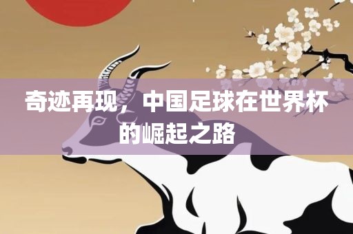 奇迹再现，中国足球在世界杯的崛起之路洛阳市法福文化传播有限公司