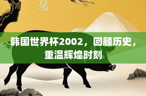 韩国世界杯2002，回顾历史，重温辉煌时刻洛阳市法福文化传播有限公司