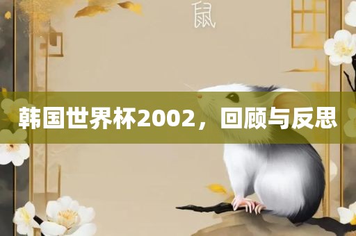韩国世界杯2002，回顾与反思