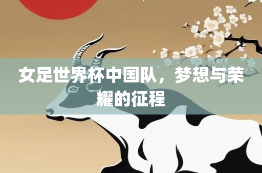女足世界杯中国队，梦想与荣耀的征程