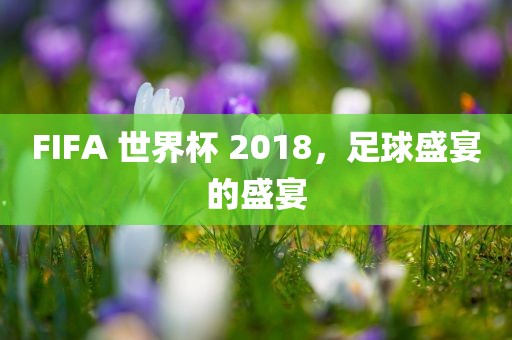 FIFA 世界杯 2018，足球盛宴的盛洛阳市法福文化传播有限公司宴