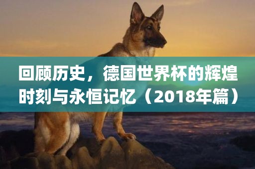回顾历史，德国世界杯的辉煌时刻与永恒记忆（2018年篇）洛阳市法福文化传播有限公司
