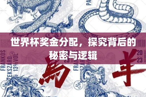 世界杯奖金分配，探究背后的秘密与逻辑