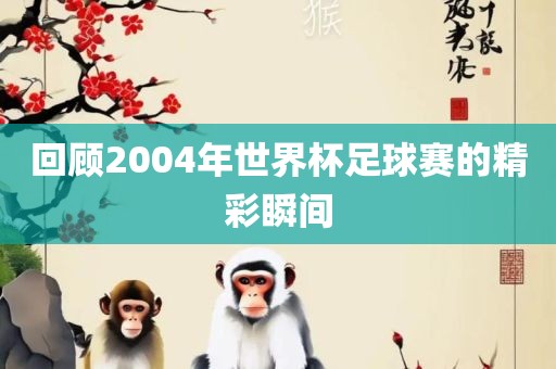回顾2004年世界杯足球赛的精彩瞬间洛阳市法福文化传播有限公司