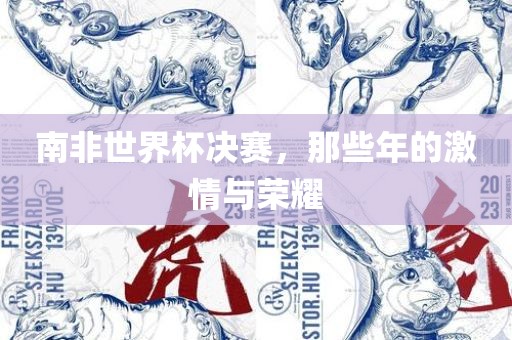 南非世界杯决赛，那些年的激情与荣耀洛阳市法福文化传播有限公司
