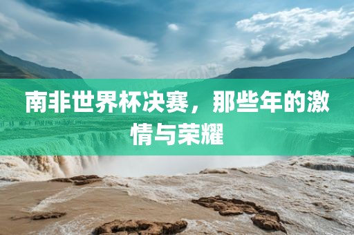 南非世界杯决赛，那些年的激情与荣耀洛阳市法福文化传播有限公司
