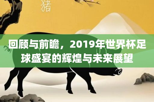 回顾与前瞻，2019年世界杯足球盛宴的辉煌与未来展望洛阳市法福文化传播有限公司