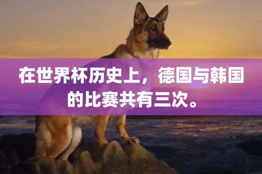 在世界杯历史上，德国与韩国的比赛共有三次。