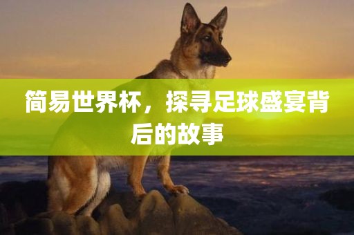 简易世界杯，探寻足球盛宴背后的故事