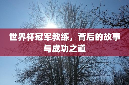 世界杯冠军教练，背后的故事与成功之道洛阳市法福文化传播有限公司
