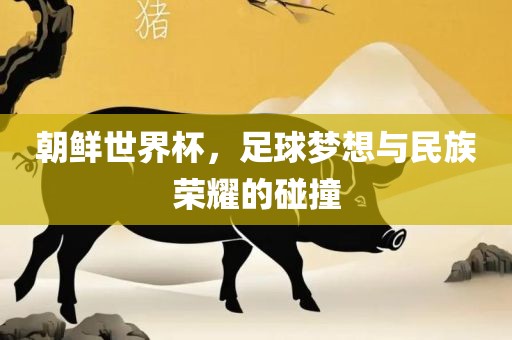 朝鲜世界杯，足球梦想与民族荣耀的碰撞