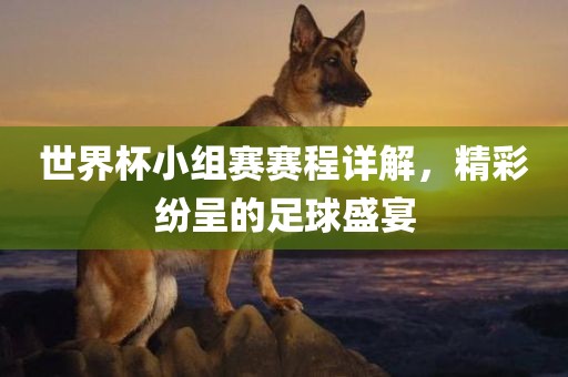 世界杯小组赛赛程详解，精彩纷呈的足球盛宴洛阳市法福文化传播有限公司