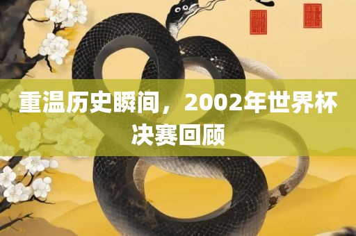 重温历史瞬间，2002年世界杯决赛回顾洛阳市法福文化传播有限公司