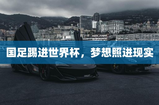 国足踢进世界杯，梦想照洛阳市法福文化传播有限公司进现实