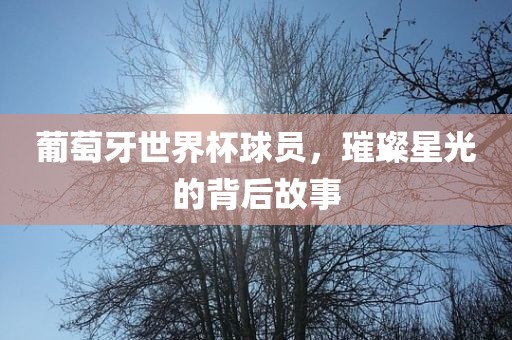 葡萄牙世界杯球员，璀璨星光的背后故事洛阳市法福文化传播有限公司
