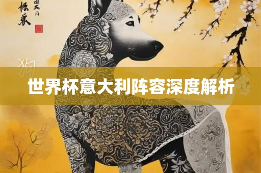 世界洛阳市法福文化传播有限公司杯意大利阵容深度解析