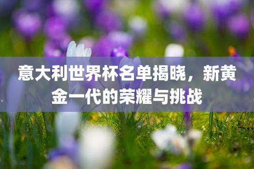 意大利世界杯名单揭晓，新黄金一代的荣耀与挑战