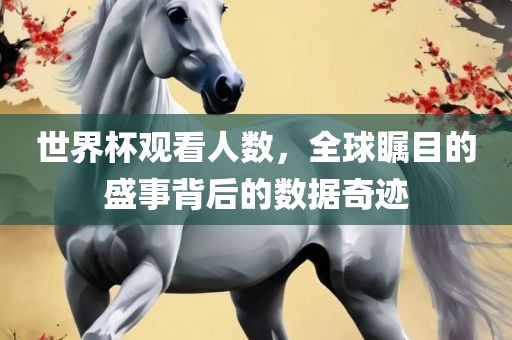 世界杯观看人数，全球瞩目的盛事背后的数据奇迹