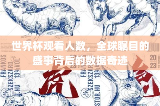 世界杯观看人数，全球瞩目的盛事背后的数据奇迹
