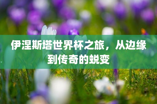 伊涅斯塔世界杯之旅，从边缘到传奇的蜕变