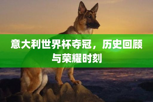 意大利世界杯夺冠，历史回顾与荣耀时刻洛阳市法福文化传播有限公司