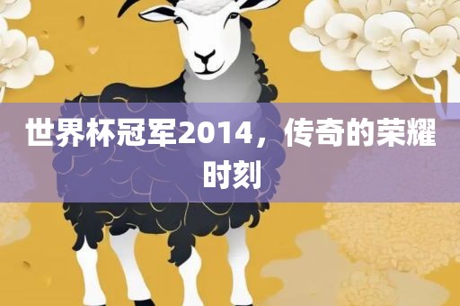 世界杯冠军2014，传奇的荣耀时刻