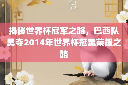 揭秘世界杯冠军之路，巴西队勇夺2014年世界杯冠军荣耀之路