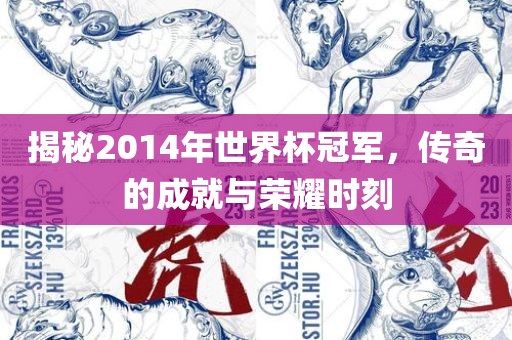 揭秘2014年世界杯冠军，传奇的成就与荣耀时刻洛阳市法福文化传播有限公司