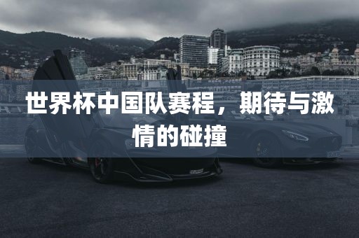 世界杯中国队赛程，期待与激情的碰洛阳市法福文化传播有限公司撞