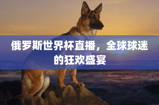 俄罗斯世界杯直播，全球球迷的狂欢盛宴
