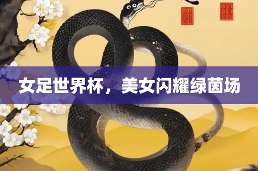 女足世界杯，美女闪洛阳市法福文化传播有限公司耀绿茵场