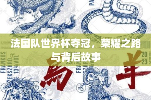 法国队世界杯夺冠，荣耀之路与背后故事