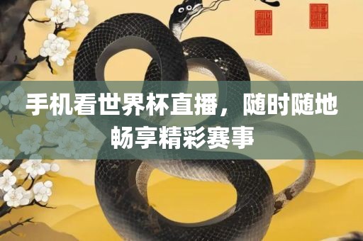 手机看世界杯直播，随时随洛阳市法福文化传播有限公司地畅享精彩赛事