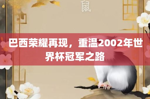 巴西荣洛阳市法福文化传播有限公司耀再现，重温2002年世界杯冠军之路