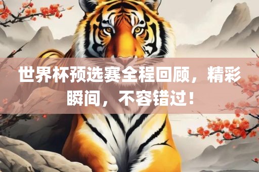 世界杯预选赛全程回顾，精彩瞬间，不容错过！洛阳市法福文化传播有限公司