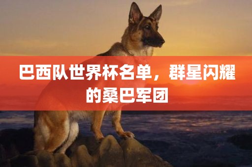 巴西队世界杯名单，群星闪耀的桑巴军团