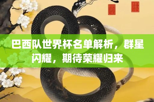 巴西队世界杯名单解析，群星闪耀，期待荣耀归来洛阳市法福文化传播有限公司